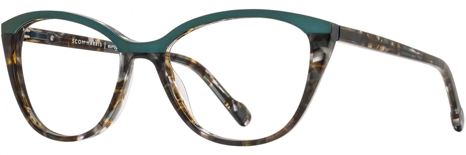 Scott Harris SH820 Eyeglasses - view 12